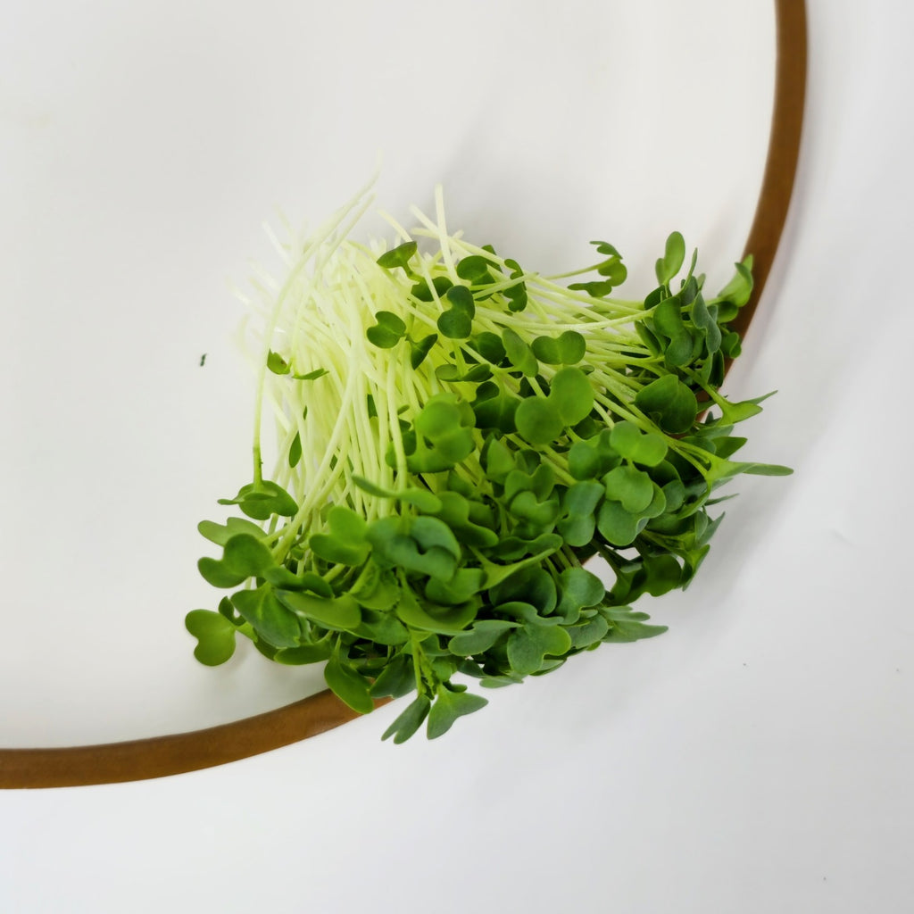 Oriental Mustard Microgreens